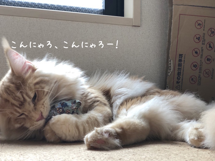 f:id:chikojirou:20180704220640j:plain
