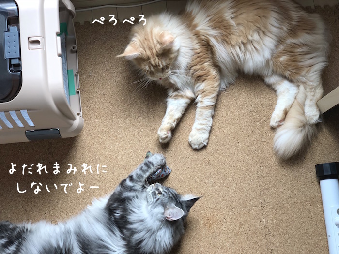 f:id:chikojirou:20180704220656j:plain