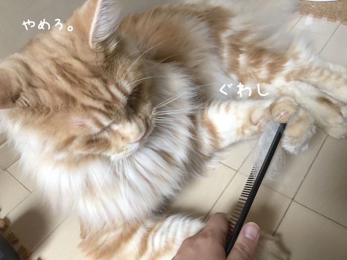 f:id:chikojirou:20180706213359j:plain