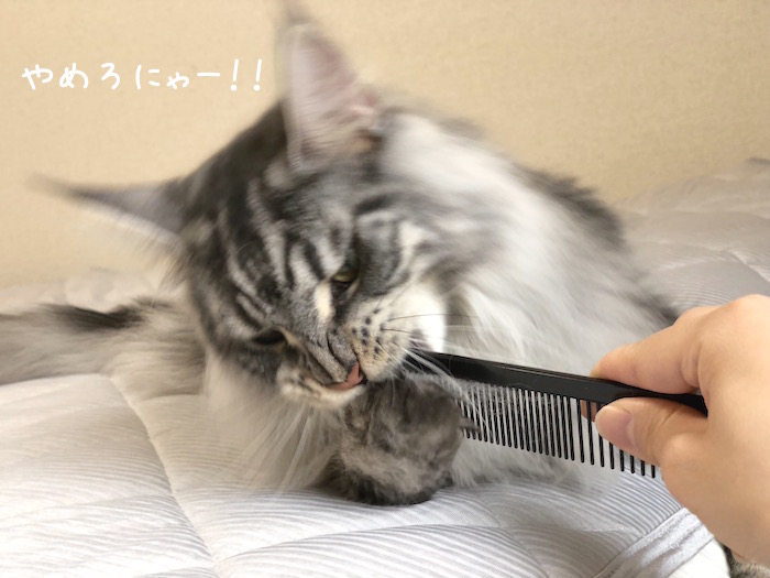 f:id:chikojirou:20180706213440j:plain