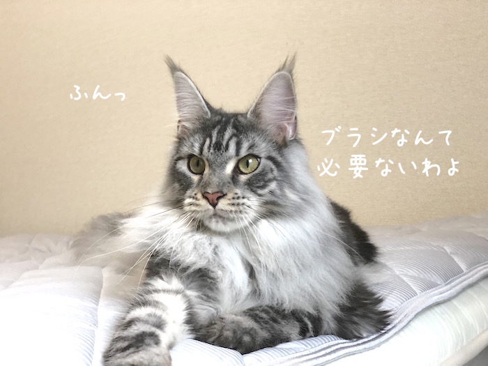f:id:chikojirou:20180706213456j:plain