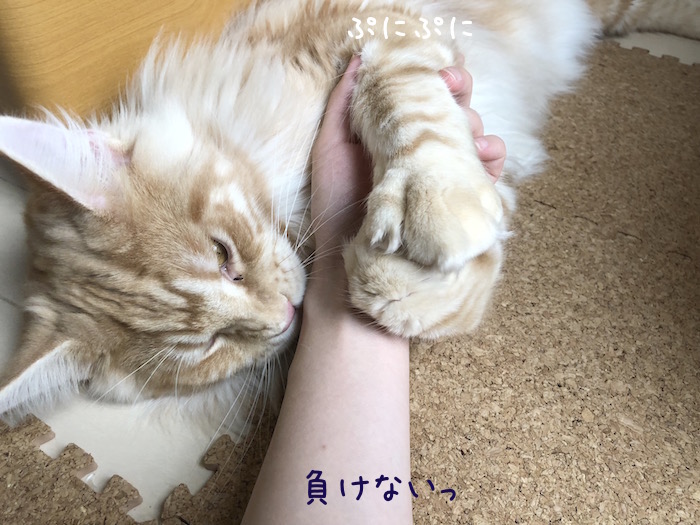 f:id:chikojirou:20180706213612j:plain