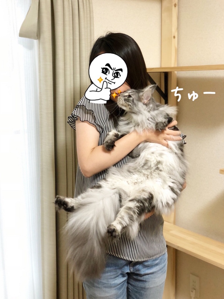 f:id:chikojirou:20180706213834j:plain