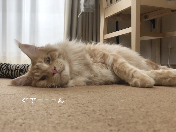 f:id:chikojirou:20180708195606j:plain