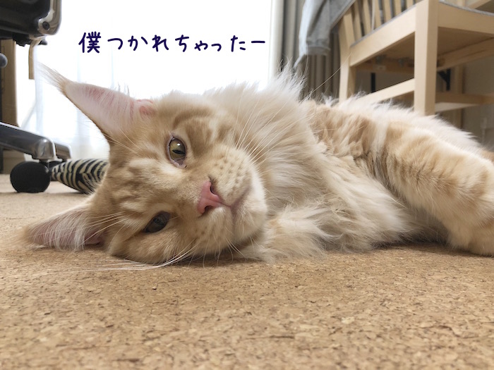 f:id:chikojirou:20180708195908j:plain