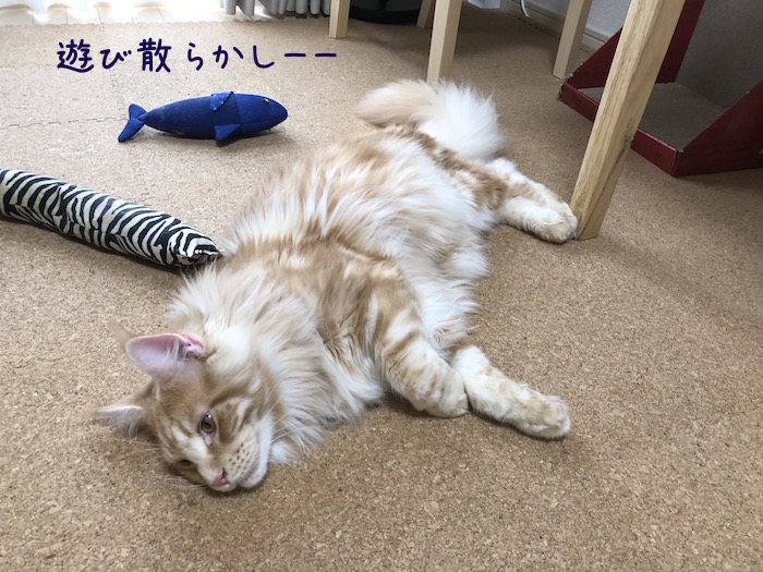 f:id:chikojirou:20180708195946j:plain