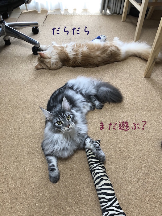 f:id:chikojirou:20180708200013j:plain