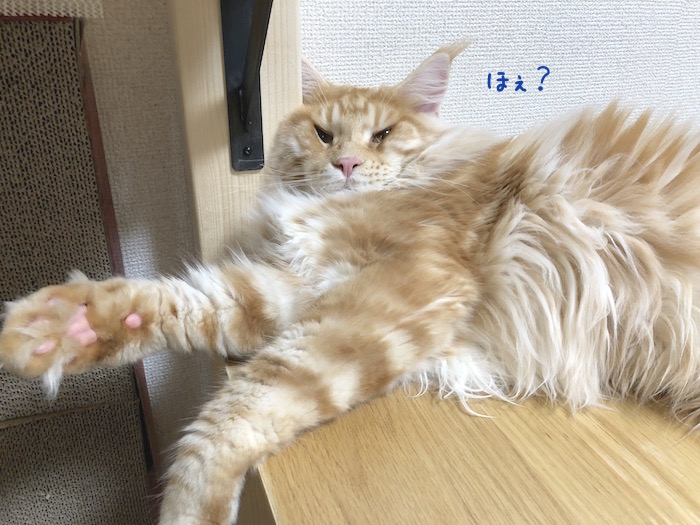 f:id:chikojirou:20180715214126j:plain