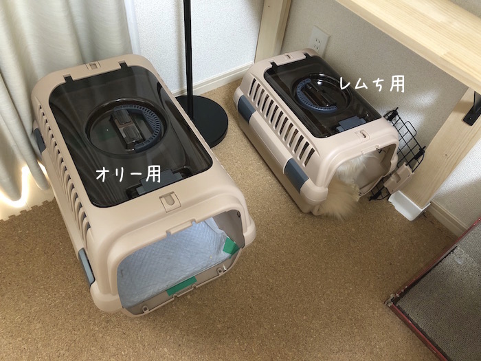 f:id:chikojirou:20180715214146j:plain