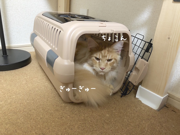 f:id:chikojirou:20180715214210j:plain