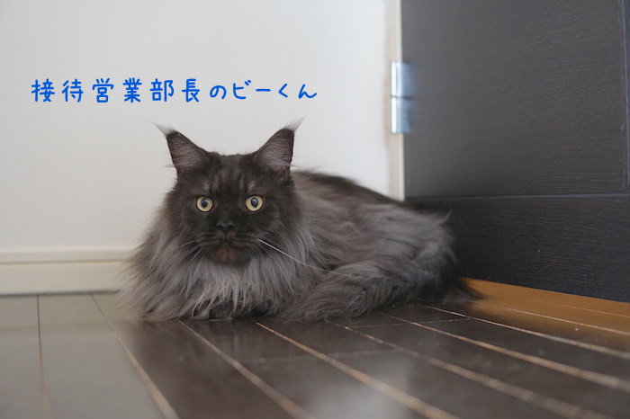 f:id:chikojirou:20180715214427j:plain