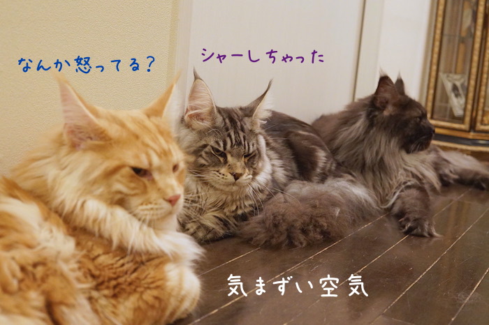 f:id:chikojirou:20180715214709j:plain