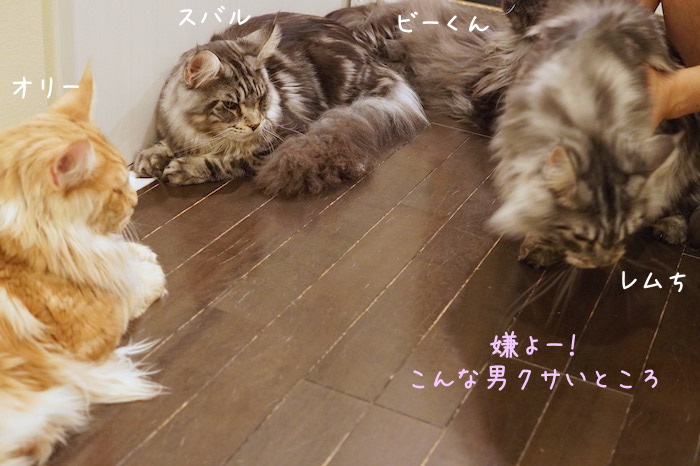 f:id:chikojirou:20180715214833j:plain