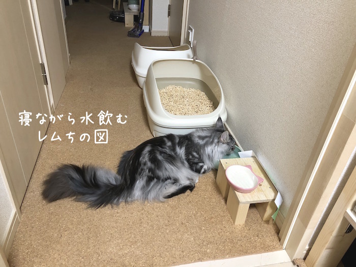 f:id:chikojirou:20180715215015j:plain