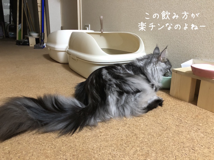 f:id:chikojirou:20180715215041j:plain