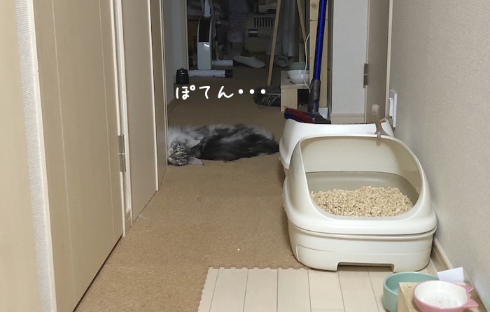 f:id:chikojirou:20180715215101j:plain