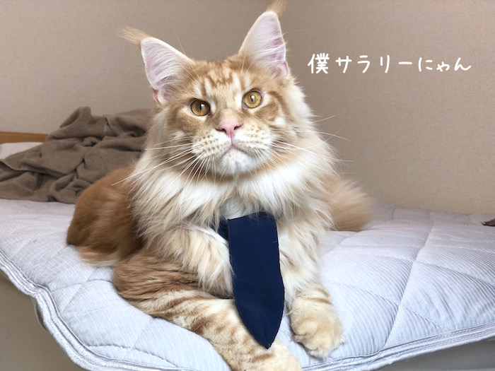 f:id:chikojirou:20180724215919j:plain