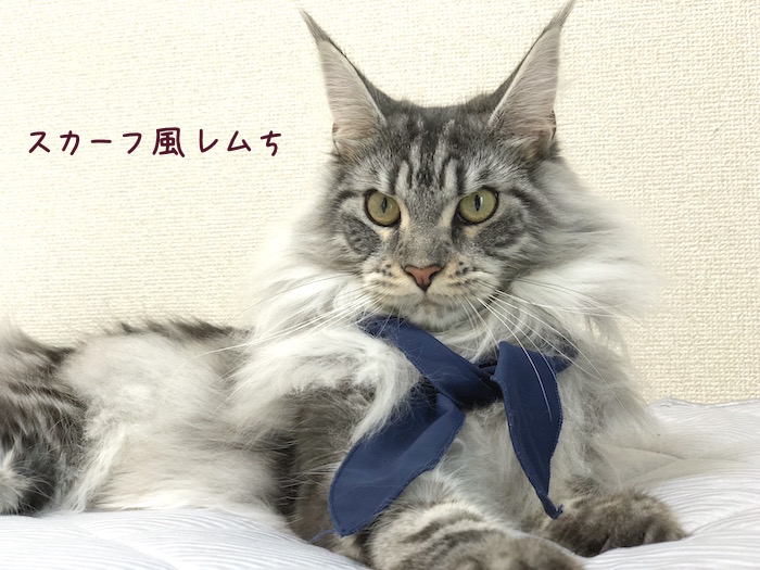 f:id:chikojirou:20180724220001j:plain