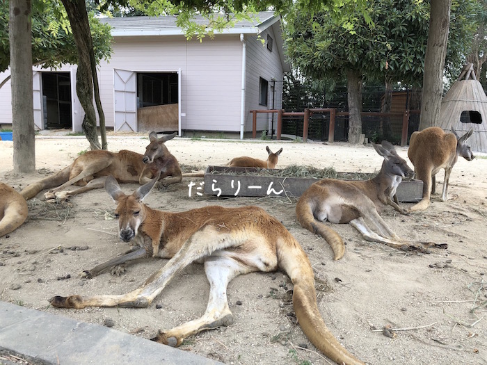 f:id:chikojirou:20180724220150j:plain