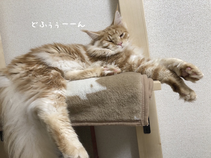 f:id:chikojirou:20180724220403j:plain