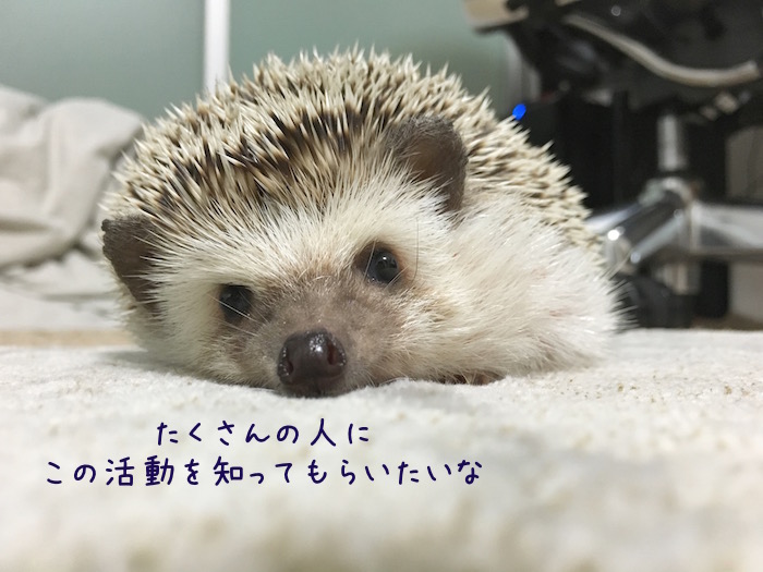 f:id:chikojirou:20180726223905j:plain f:id:chikojirou:20180726223905j:plain