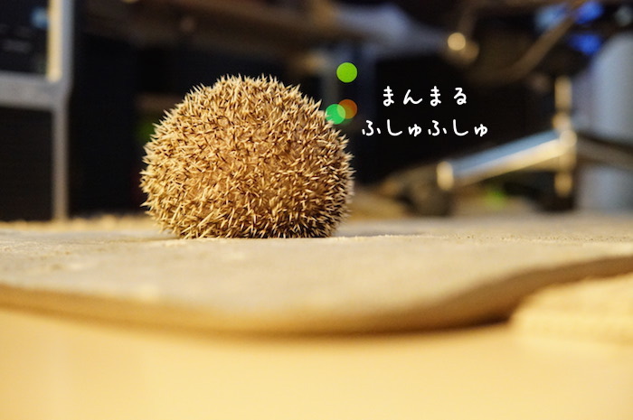 f:id:chikojirou:20180726230712j:plain f:id:chikojirou:20180726230712j:plain