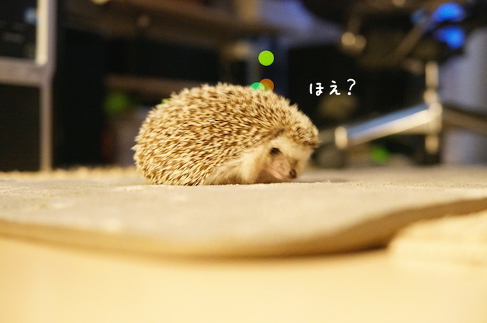 f:id:chikojirou:20180726230858j:plain f:id:chikojirou:20180726230858j:plain