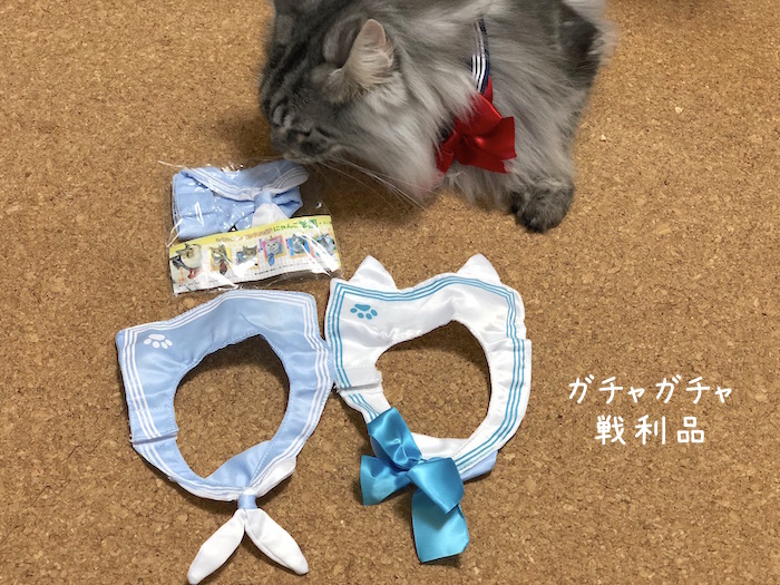 f:id:chikojirou:20180731220321j:plain
