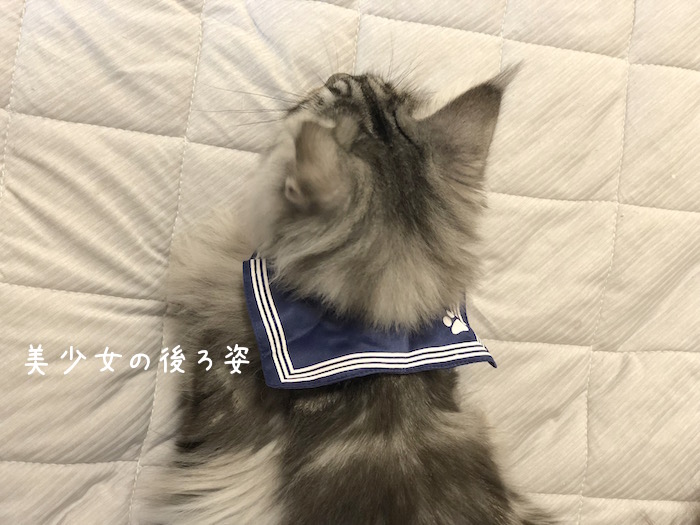 f:id:chikojirou:20180731220505j:plain