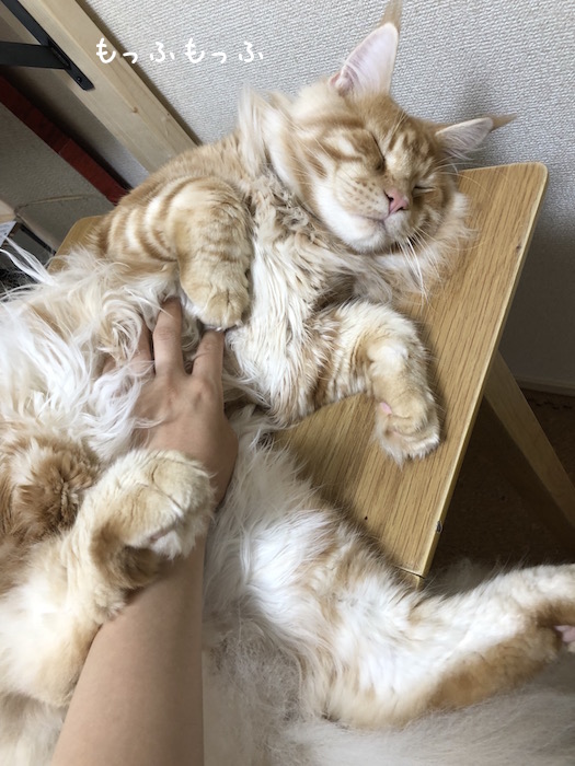 f:id:chikojirou:20180731220743j:plain
