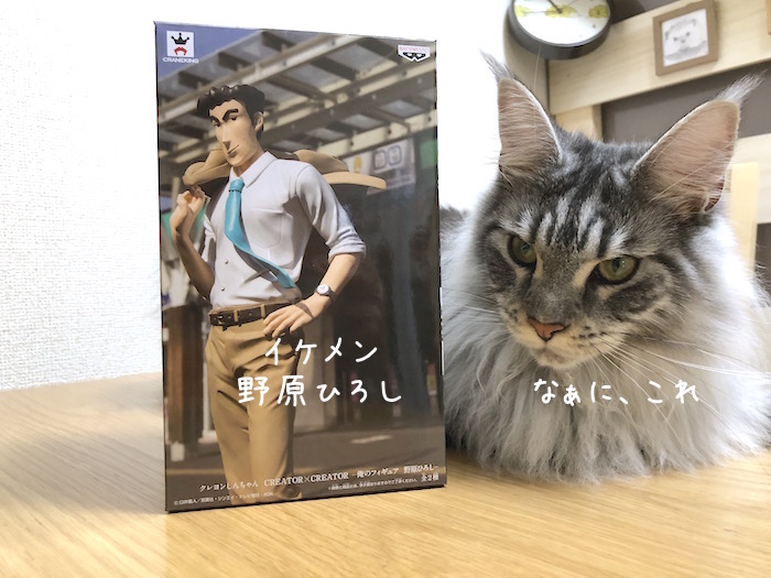 f:id:chikojirou:20180814214516j:plain