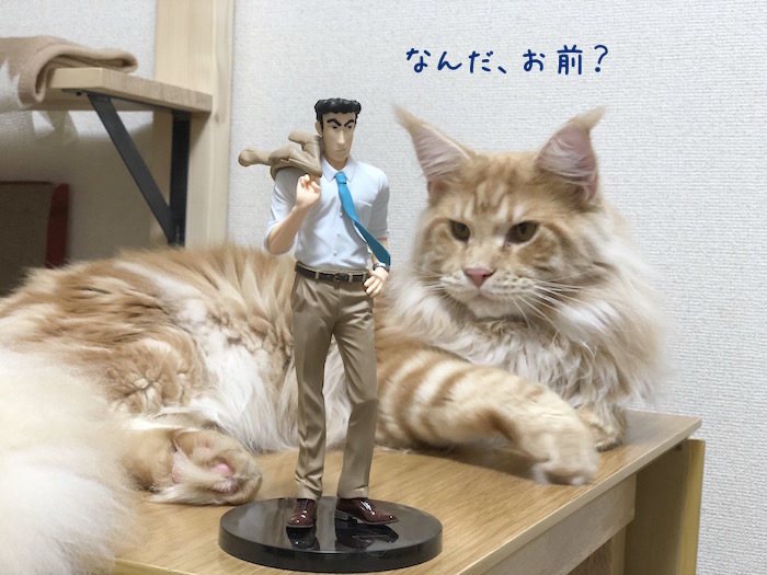 f:id:chikojirou:20180814214545j:plain