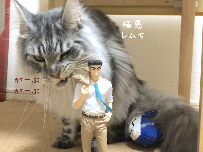 f:id:chikojirou:20180814214620j:plain