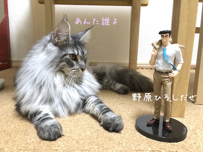 f:id:chikojirou:20180814214633j:plain