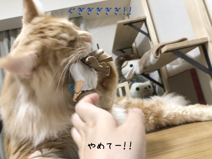 f:id:chikojirou:20180814214826j:plain