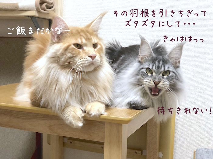 f:id:chikojirou:20180814214934j:plain