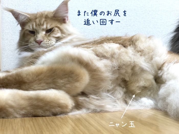f:id:chikojirou:20180814214949j:plain