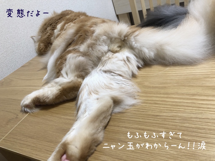 f:id:chikojirou:20180814215013j:plain