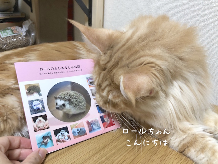 f:id:chikojirou:20180814215035j:plain