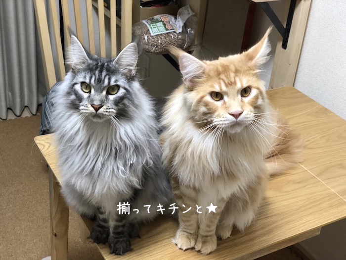 f:id:chikojirou:20180815213132j:plain
