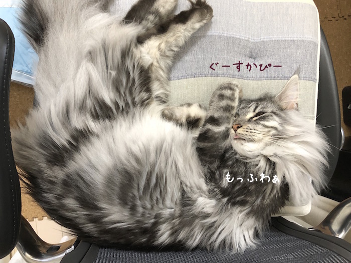 f:id:chikojirou:20180815213259j:plain