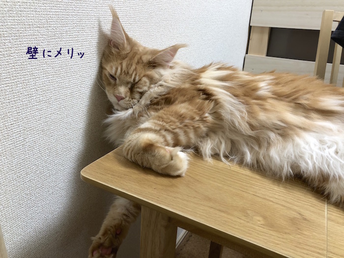 f:id:chikojirou:20180815213324j:plain