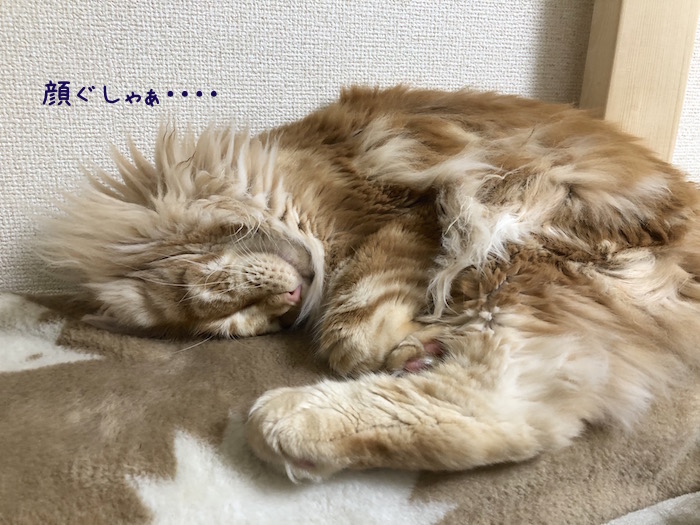 f:id:chikojirou:20180815213351j:plain