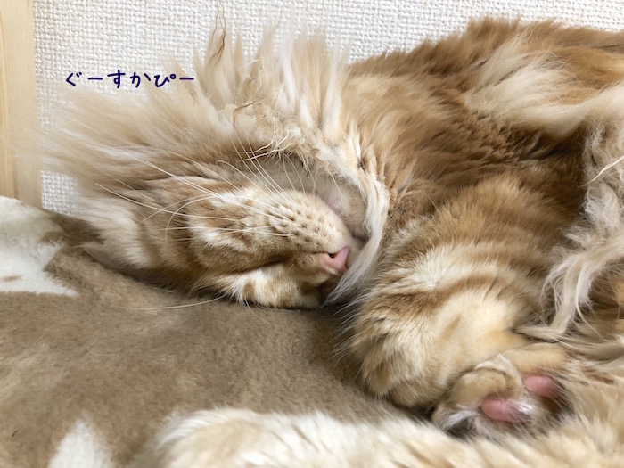 f:id:chikojirou:20180815213449j:plain