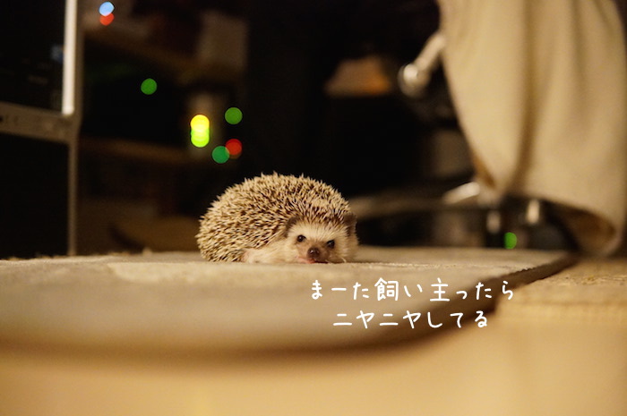 f:id:chikojirou:20180820220617j:plain f:id:chikojirou:20180820220617j:plain
