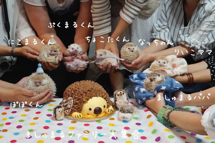 f:id:chikojirou:20180820220657j:plain f:id:chikojirou:20180820220657j:plain