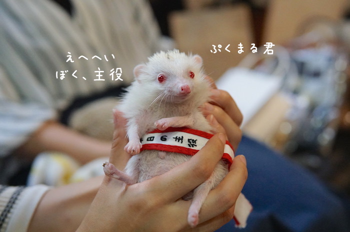 f:id:chikojirou:20180820220808j:plain f:id:chikojirou:20180820220808j:plain