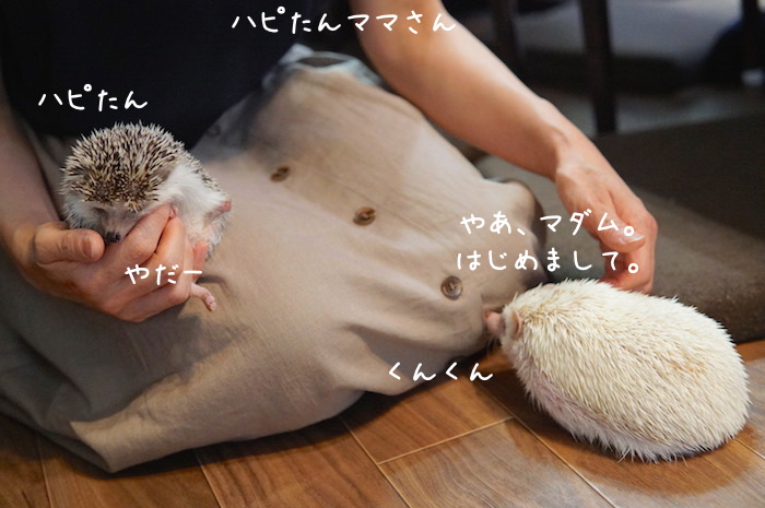 f:id:chikojirou:20180820221443j:plain f:id:chikojirou:20180820221443j:plain