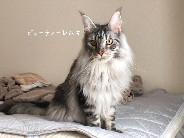 f:id:chikojirou:20180904220447j:plain
