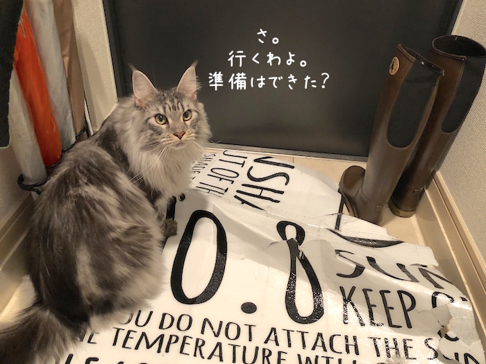 f:id:chikojirou:20180904220604j:plain